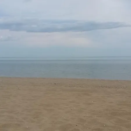 Velevi